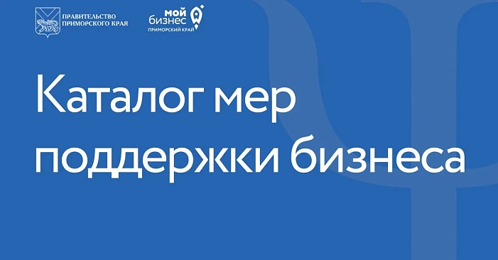 Впервые в Приморье: презентация каталога мер поддержки бизнеса