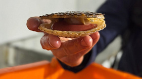 «Бизнес-десант» в Хасанском округе: приморские предприниматели получили адресную поддержку на местах